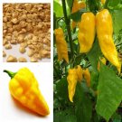 Hot Chilli Habanero Devils Tongue Yellow chilli 10 seeds