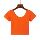 Women's O Neck Short Sleeve Basic Crop Top