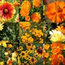 1 Oz Bulk Seeds Wildflower Mix Orange