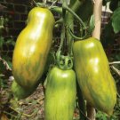 Green Sausage Tomato 500 Seeds