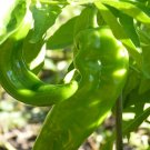 Hatch Lumbre Chili Pepper 50 Seeds Collection
