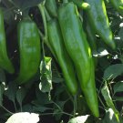 NM 6-4 Heritage Chili Pepper 50 Seeds Collection
