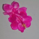 Christmas Cactus Starter Plant Satin Beauty Schlumbergera Truncata