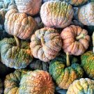 20 Seeds BLACK FUTSU SQUASH Multicolored Heirloom Pumpkin Edible Cucurbita