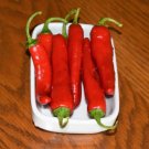 25 Seeds GIANT ACONCAGUA PEPPER Up to 12"" Long Caspsicum Annuum Vegetable