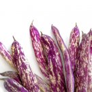 50 Seeds DRAGON TONGUE Wax BEAN Yellow Purple Phaseolus Vegetable