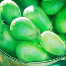 50 Seeds Green AO DAIMARU EGGPLANT  Solanum Melongena Japanese Asian Aubergine