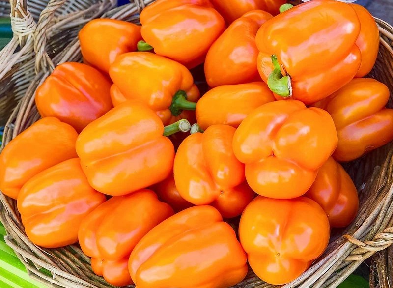 100 Seeds ORANGE KING BELL PEPPER Sweet Capsicum Annuum Vegetable