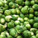500 Seeds HEIRLOOM BRUSSEL SPROUT Brassica Oleracea Green Long Island Vegetable