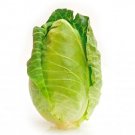 300 Seeds CHARLESTON WAKEFIELD CABBAGE Heirloom Cone Brassica Oleracea Vegetable