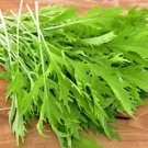 1000 Seeds GREEN MIZUNA MUSTARD Japanese Greens Brassica Juncea Herb Vegetable