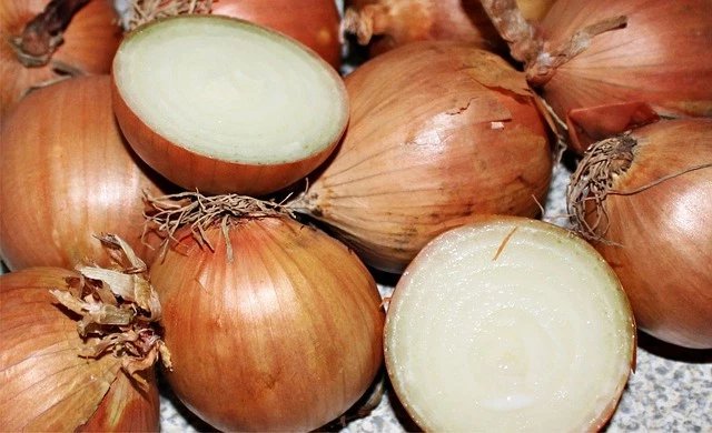 400 Seeds TEXAS EARLY GRANO ONION Large Sweet Yellow Allium Cepa Vegetable