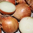 400 Seeds TEXAS EARLY GRANO ONION Large Sweet Yellow Allium Cepa Vegetable