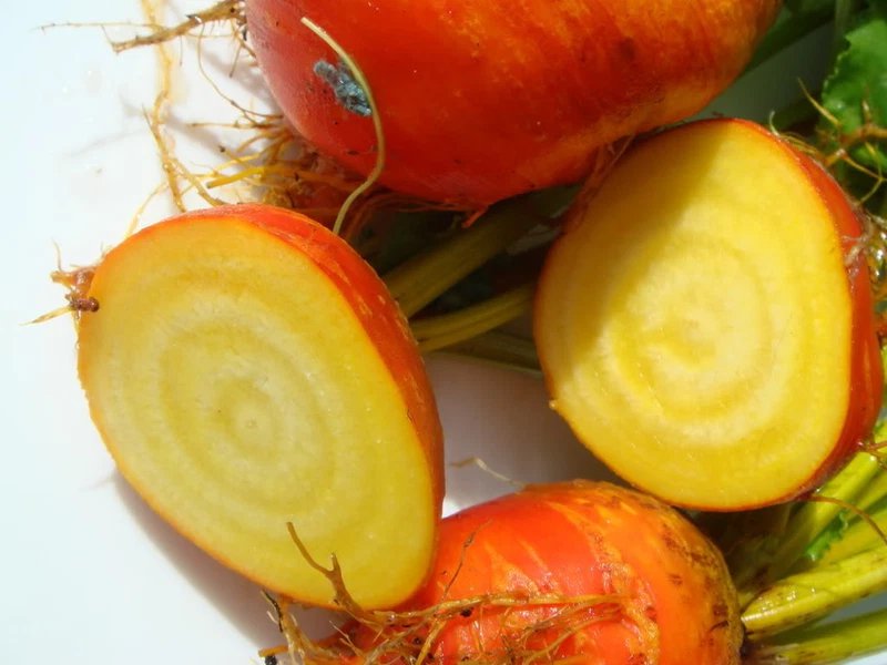 30 Seeds BURPEE'S GOLDEN BEET Beta Yellow Root Vegetable