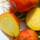 30 Seeds BURPEE'S GOLDEN BEET Beta Yellow Root Vegetable