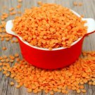 100 Seeds RED LENTIL Lens Culinaris Vegetable ipping