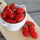 Pepper Zavory 100 seeds
