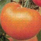Tomato Mountain Spring 100 seeds