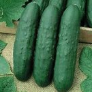 Cucumber Eureka 20 seeds