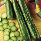 Cucumber Sweetest Yet 100 seeds