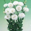 Lisianthus Arena White IV 250 seeds
