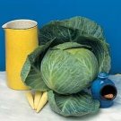 Cabbage Charmant 250 seeds