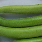 Squash Summer Cucuzza 100 seeds