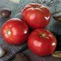 Tomato Bella Rosa 100 seeds