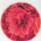 Portulaca Ruby Crown 2,000 seeds