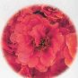 Portulaca Ruby Crown 2,000 seeds