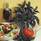Basil Purple Ruffles 1,000 seeds