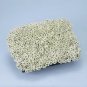 Alyssum Sweet Alice White 5,000 seeds