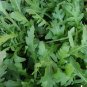 Arugula Wild One Diplotaxis 5,000 seeds