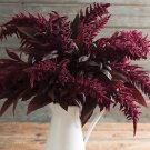 Amaranthus Archie's Red Spike 2,000 seeds