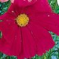 Cosmos Versailles Carmine Pink 1,000 seeds