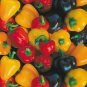 Pepper Baby (Mini) Bell Mix 250 seeds