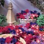 Petunia Aladdin Arabian Night Mix 500 seeds