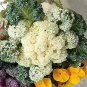 Flowering Kale Yokohama White 500 seeds