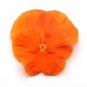 Pansy Spring Matrix Deep Orange 250 seeds