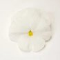 Pansy Matrix White Clear 250 seeds
