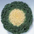 Flowering Kale Kamome White 500 seeds