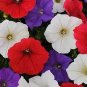 Petunia Shock Wave Volt Mix 100 seeds