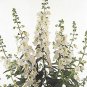 Angelonia Serena White 100 seeds
