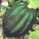 Squash Winter Table King Acorn Bush 250 seeds