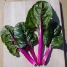 Swiss Chard Magenta Sunset 500 seeds