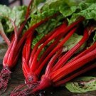 Swiss Chard Ruby Red 500 seeds