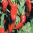 Pepper Corno di Toro Red 250 seeds