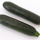 Squash Summer Zucchini Garden Spineless 100 seeds