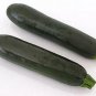 Squash Summer Zucchini Garden Spineless 100 seeds