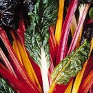 Swiss Chard Bright Lights 500 seeds